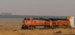 BNSF 4737-BNSF 8229